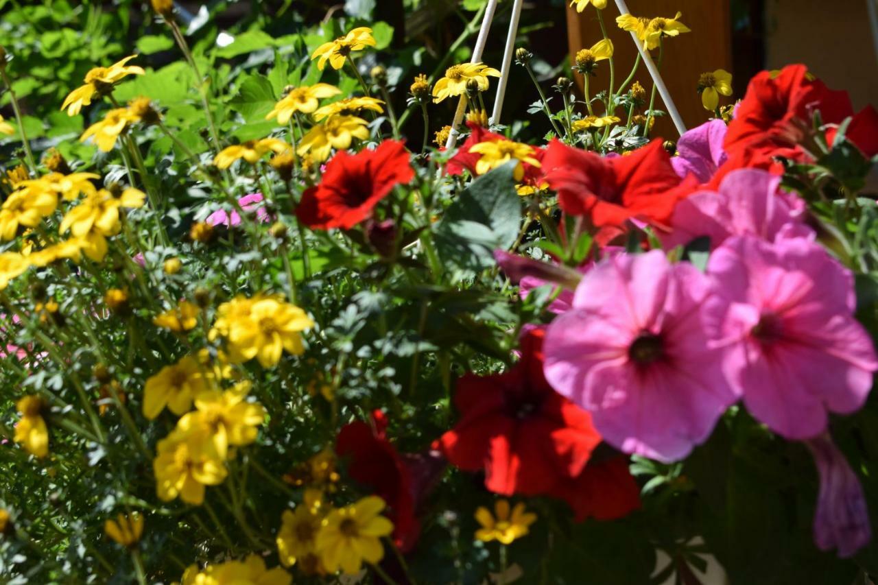 Marktstuebchen An Der Schoenen Loreley Bornich